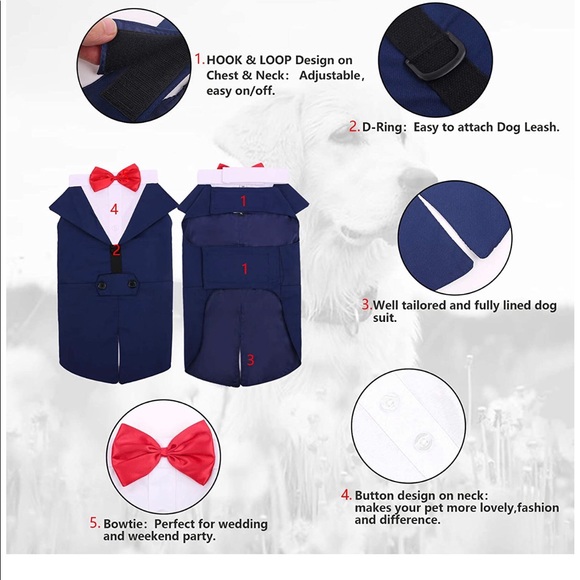 SM dog Tux and bandana - Picture 2 of 4